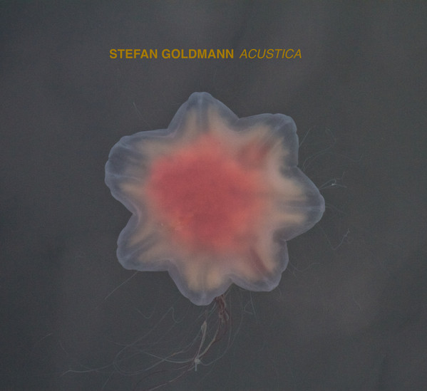 STEFAN GOLDMANN : Acustica