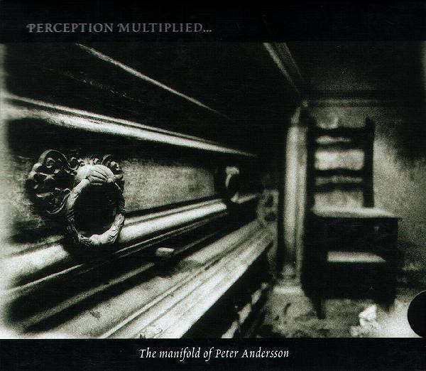 PETER ANDERSSON : Perception Multiplied, Multiplicity Unified (The Manifold Of Peter Andersson) PETER ANDERSSON : Perception Multiplied, Multiplicity Unified (The Manifold Of Peter Andersson)