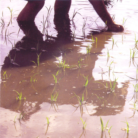 V.A. : Rice Planting Songs V.A. : Rice Planting Songs