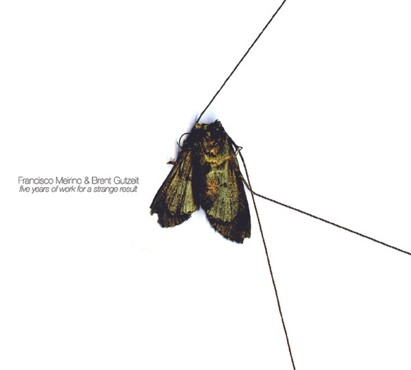 FRANCISCO MEIRINO & BRENT GUTZEIT : Five Years Of Work For A Strange Result FRANCISCO MEIRINO & BRENT GUTZEIT : Five Years Of Work For A Strange Result