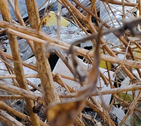 ERIC LA CASA + EAMON SPROD : Friche - Transition ERIC LA CASA + EAMON SPROD : Friche - Transition