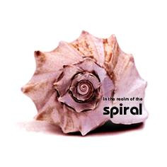 SPIRAL : In The Realm Of The Spiral SPIRAL : In The Realm Of The Spiral